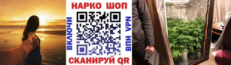 Наркошоп купить Alpha-PVP МЕФ Псилоцибиновые грибы МДМА МАРИХУАНА Городовиковск
